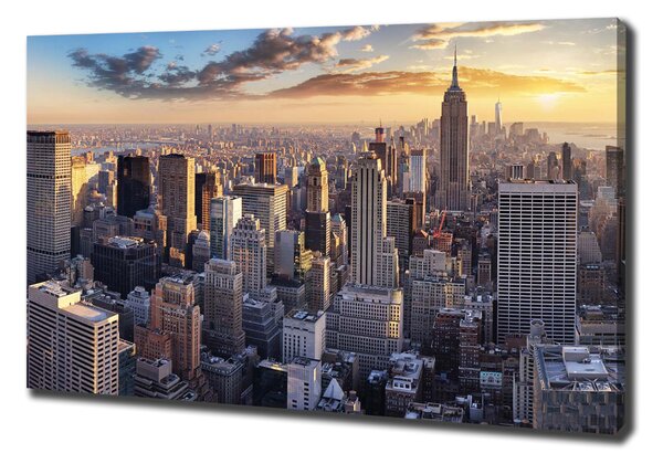 Vászonfotó New york-i járat madár