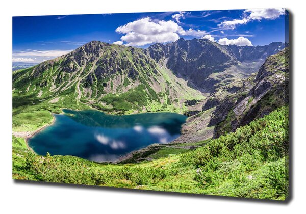 Feszített vászonkép Fekete tó tatry