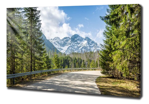 Feszített vászonkép Road tatry