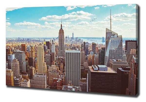 Vászonfotó New york-i járat madár