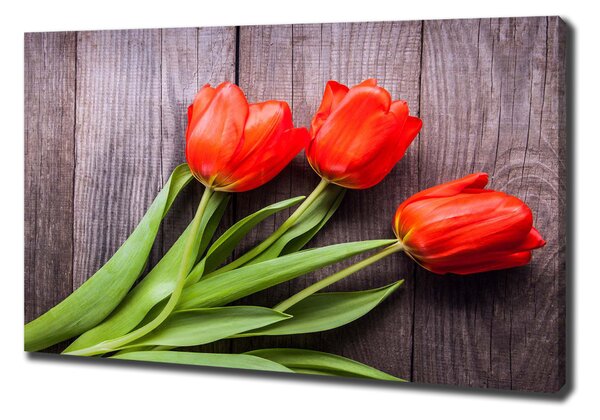 Vászonkép nyomtatás Piros tulipánok