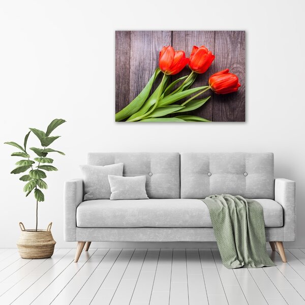 Vászonkép nyomtatás Piros tulipánok