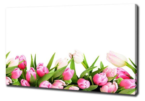 Vászonkép nyomtatás Rózsaszín tulipánok