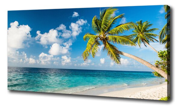 Feszített vászonkép Maldív-szigetek strand