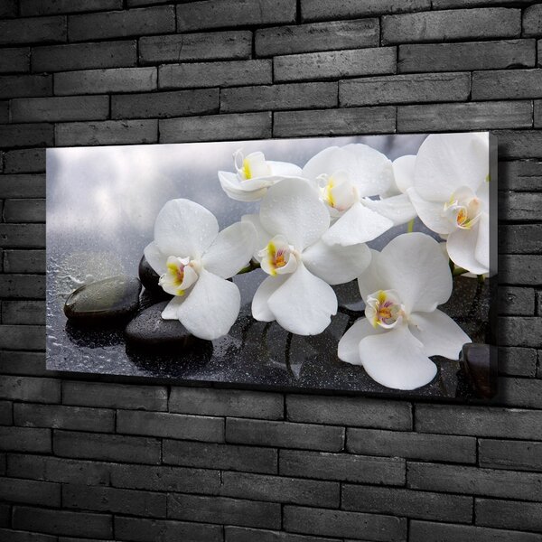 Vászonkép nyomtatás Orchidea