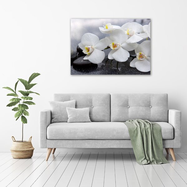 Vászonkép nyomtatás Orchidea