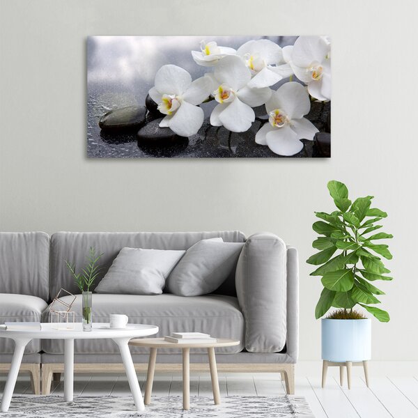 Vászonkép nyomtatás Orchidea