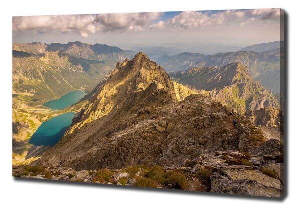 Feszített vászonkép Marine szem tatry