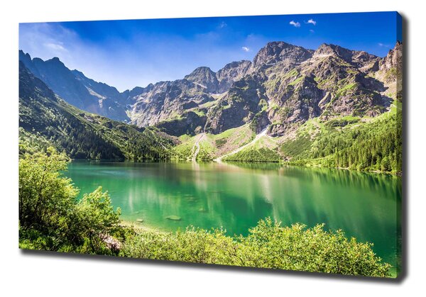 Feszített vászonkép Marine szem tatry