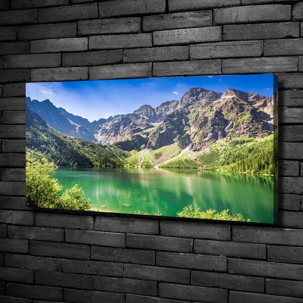 Feszített vászonkép Marine szem tatry