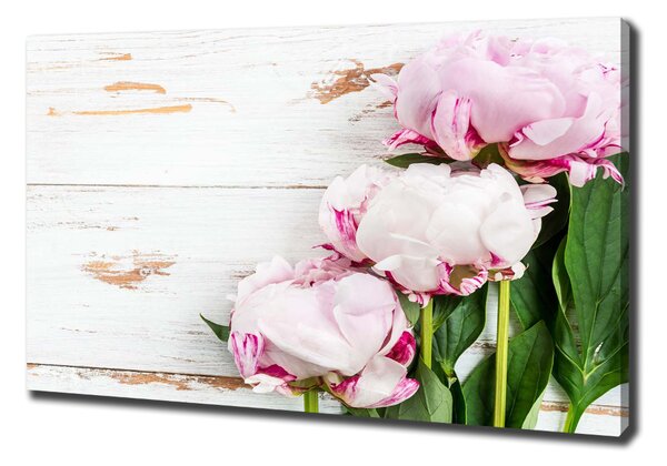Vászonkép nyomtatás Peonies