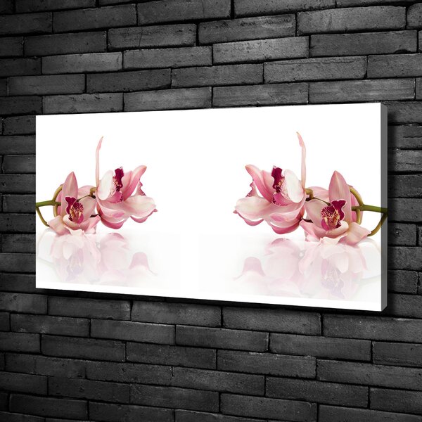 Vászonkép nyomtatás Orchidea