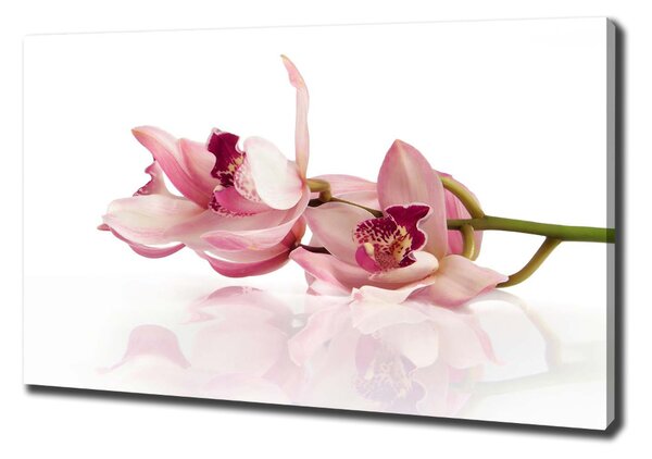 Vászonkép nyomtatás Orchidea