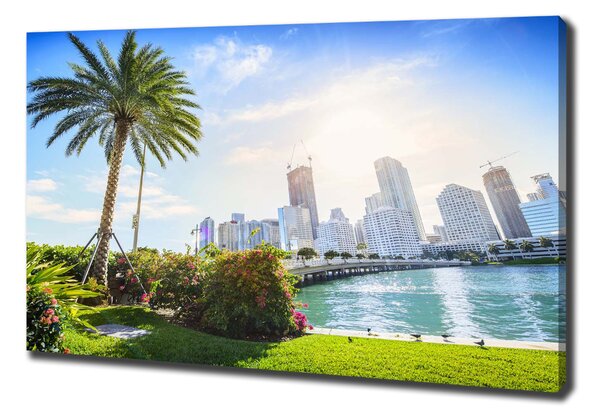 Vászonfotó Miami usa