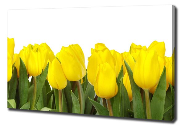 Vászonkép nyomtatás Sárga tulipánok
