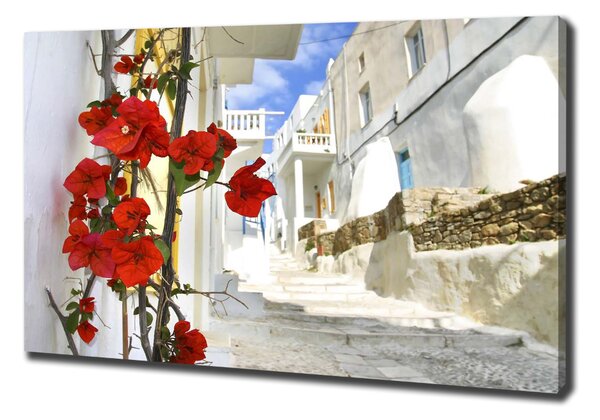 Vászonfotó Mykonos görögország