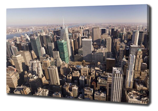 Vászonfotó New york-i járat madár