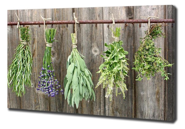 Fali vászonkép Herbs egy húr