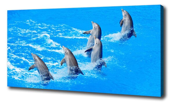 Vászonkép Delfinek