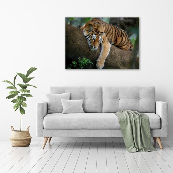 Vászonkép Tiger a fán