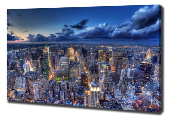 Vászonfotó New york-i járat madár