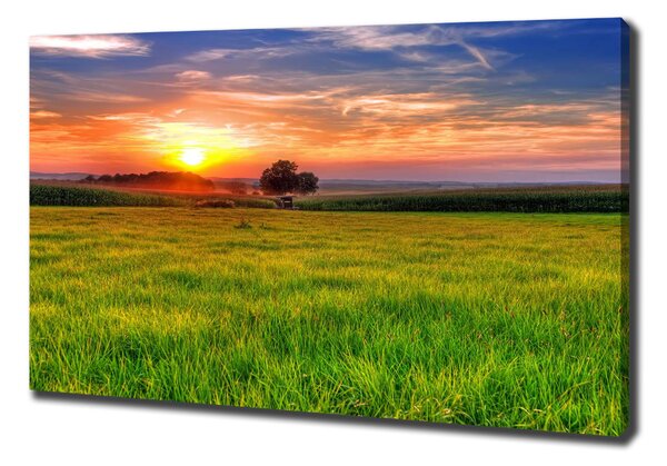 Vászon nyomtatás Sunset meadow