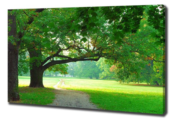 Vászonkép nyomtatás Park ősszel