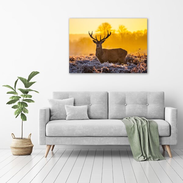 Vászonkép Deer napkelte