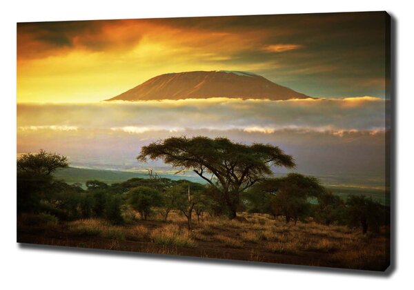 Vászon nyomtatás Kilimanjaro kenya