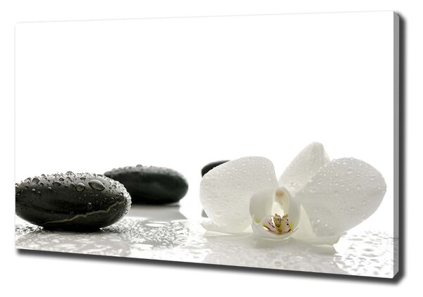 Vászonkép nyomtatás Orchidea