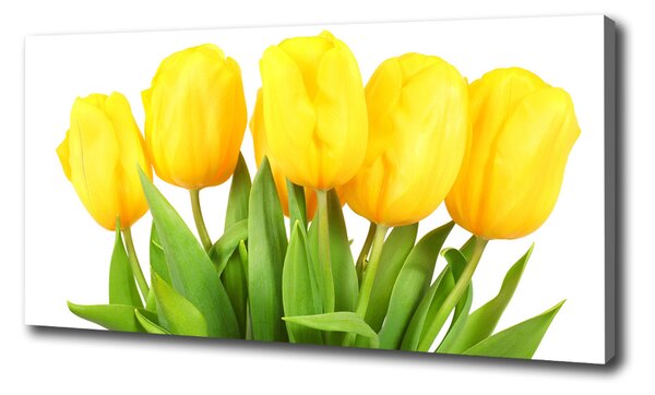 Egyedi vászonkép Sárga tulipánok