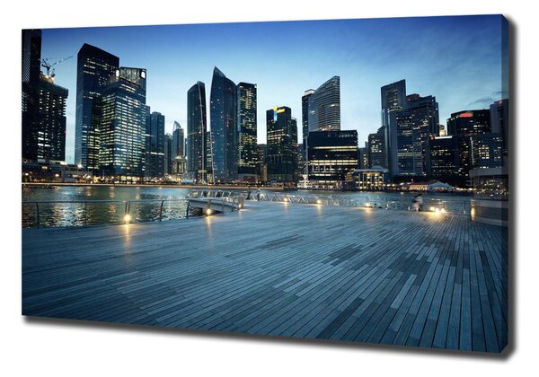 Vászonfotó Singapore éjjel