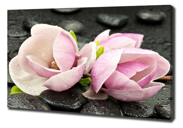 Egyedi vászonkép Magnolia zen stone-