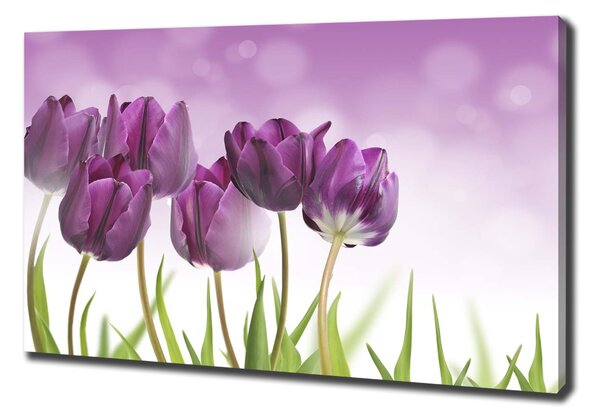 Egyedi vászonkép Filé tulipán