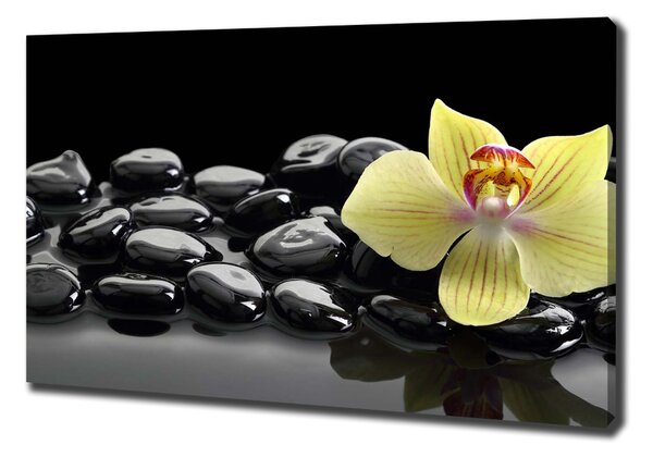 Egyedi vászonkép Orchidea