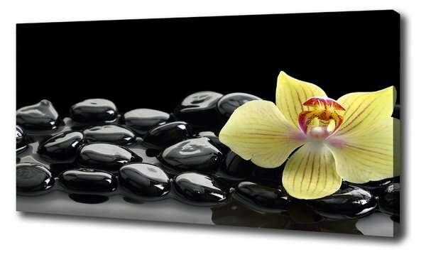 Egyedi vászonkép Orchidea