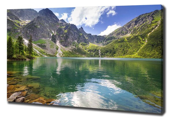 Vászon nyomtatás Marine szem tatry