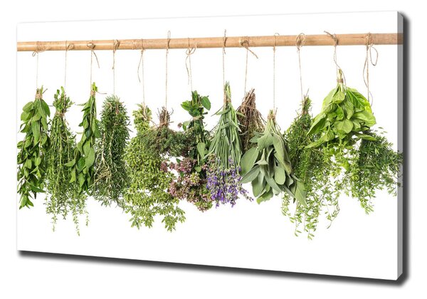 Fali vászonkép Herbs egy húr