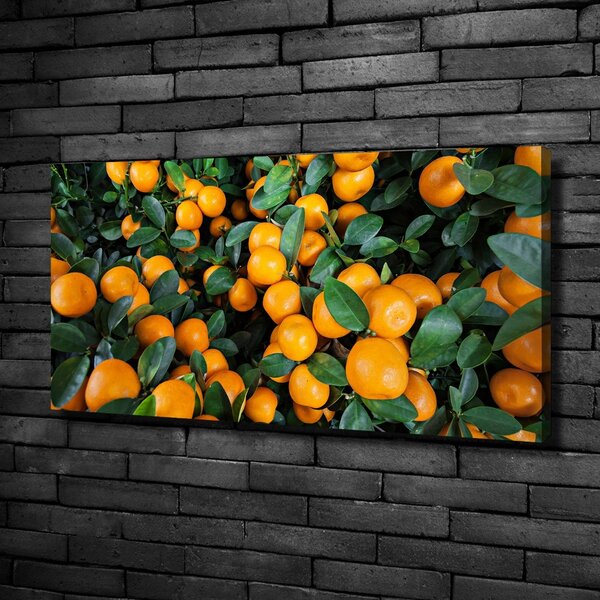 Fali vászonkép Mandarin