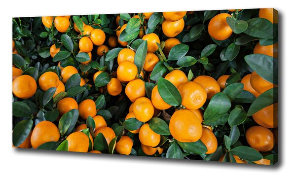 Fali vászonkép Mandarin