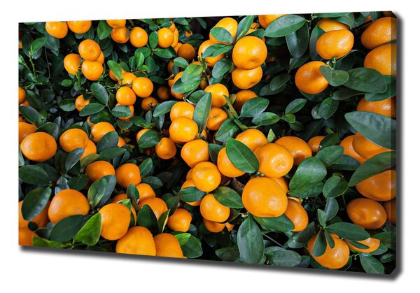 Fali vászonkép Mandarin