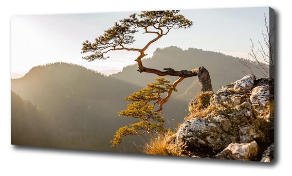Vászon nyomtatás Pieniny sokolica