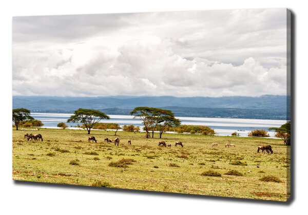 Vászon nyomtatás Lake naivasha
