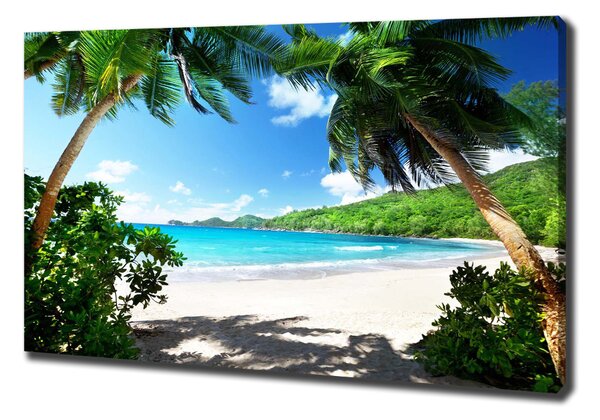 Vászon nyomtatás Seychelles strand