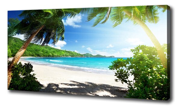 Vászon nyomtatás Seychelles strand