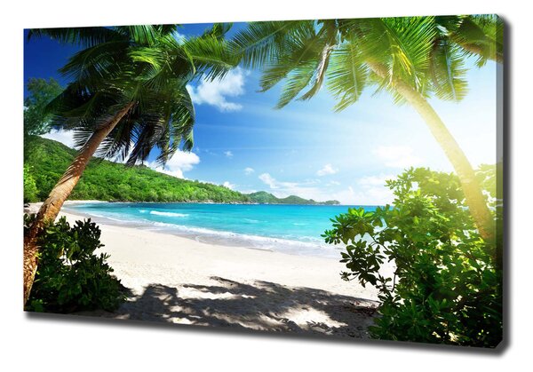 Vászon nyomtatás Seychelles strand