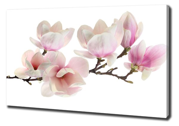Egyedi vászonkép Magnólia növény