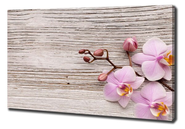 Egyedi vászonkép Orchid a fán