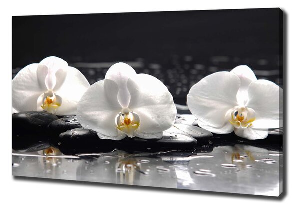 Egyedi vászonkép Orchidea