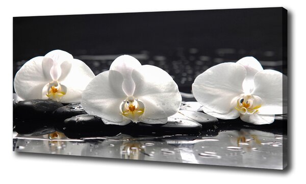Egyedi vászonkép Orchidea